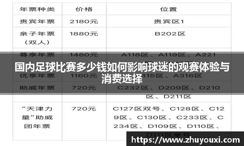 国内足球比赛多少钱如何影响球迷的观赛体验与消费选择