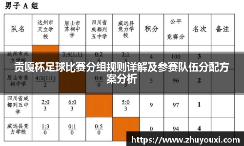 贡嘎杯足球比赛分组规则详解及参赛队伍分配方案分析