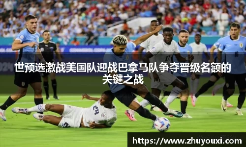 ng体育app官网入口