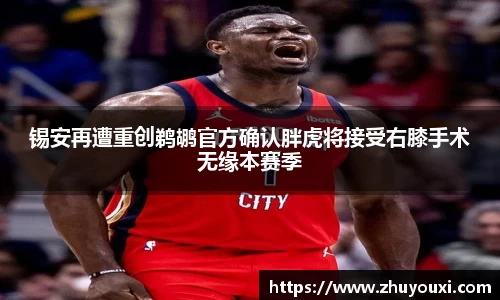锡安再遭重创鹈鹕官方确认胖虎将接受右膝手术无缘本赛季