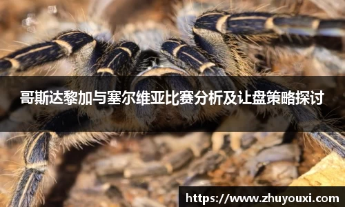 ng体育app官网入口